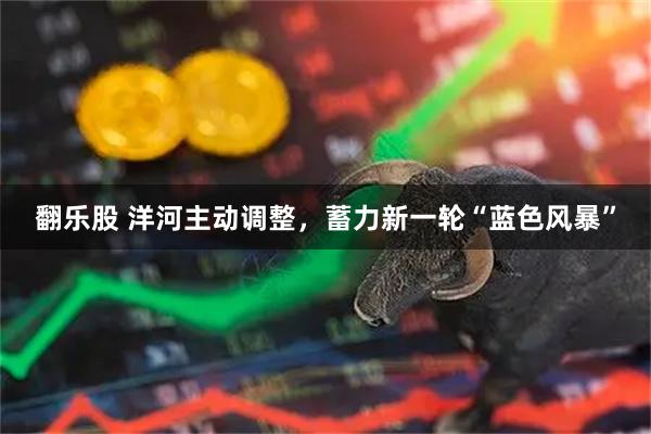 翻乐股 洋河主动调整，蓄力新一轮“蓝色风暴”
